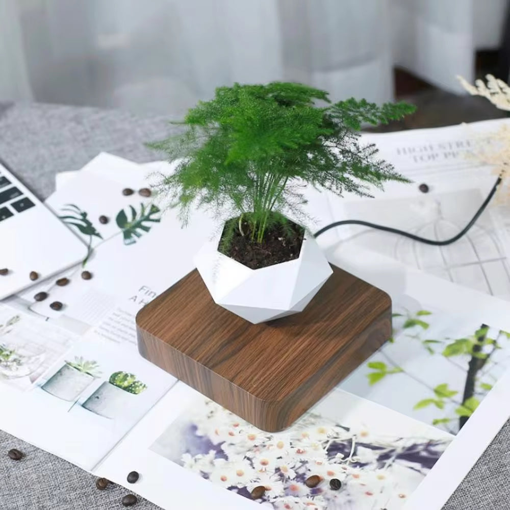 Zoeydam™ Magnetic Levitating Desk Flower Pot Decor