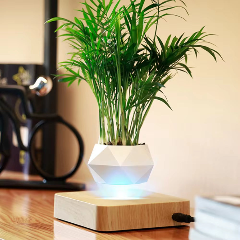 Zoeydam™ Magnetic Levitating Desk Flower Pot Decor
