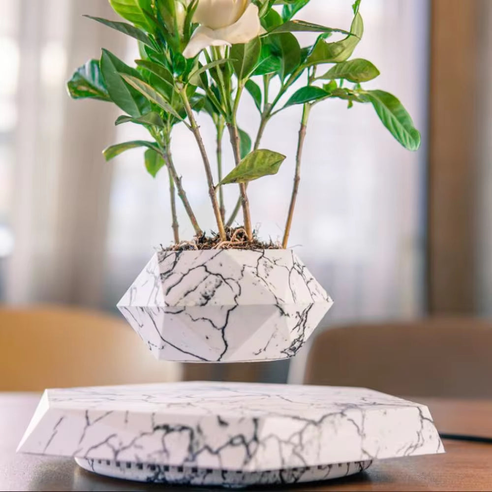 Zoeydam™ Magnetic Levitating Desk Flower Pot Decor